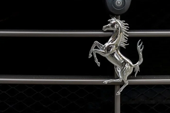 Everything You Need to Know About the Porsche Logo Animal